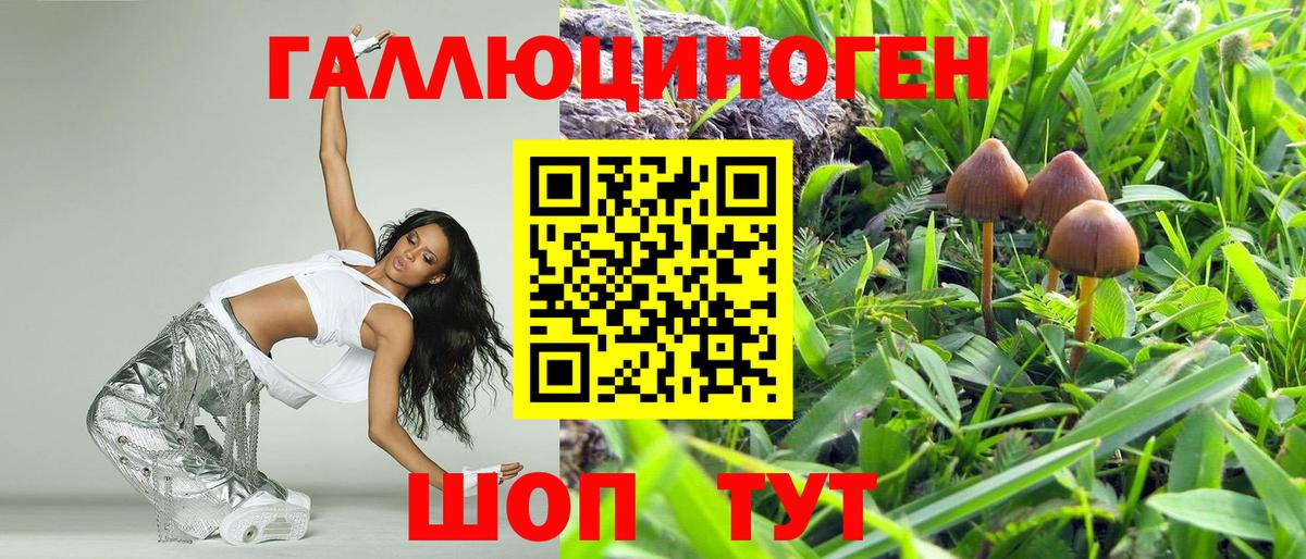 Галлюциногенные грибы ЛСД Рязань