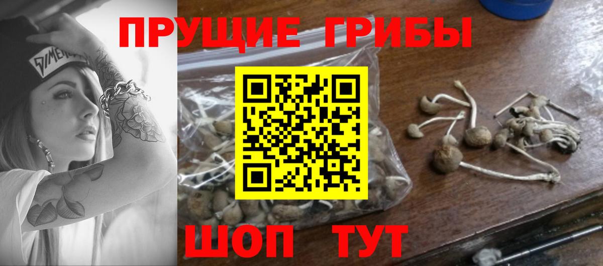 Рязань  Галлюциногенные грибы мухоморы  Вход с VPN 